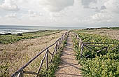 Sicily, Camarina 